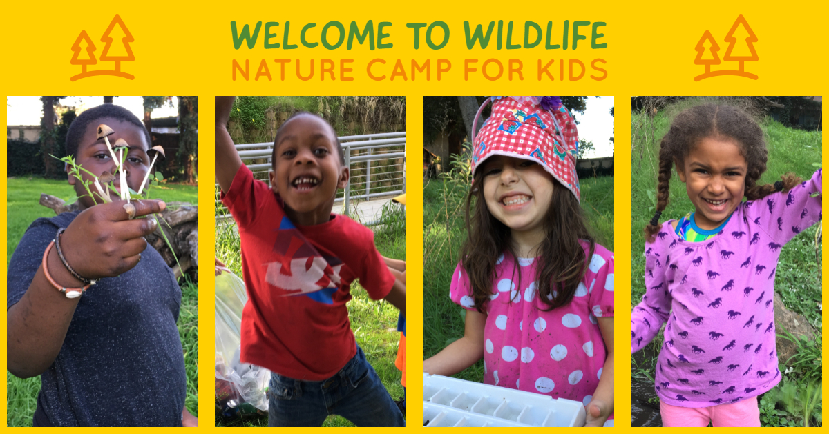 nature Camp